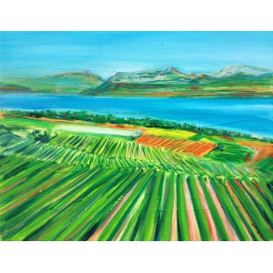 vignes-en-tobogan-i-2735-eric-ware